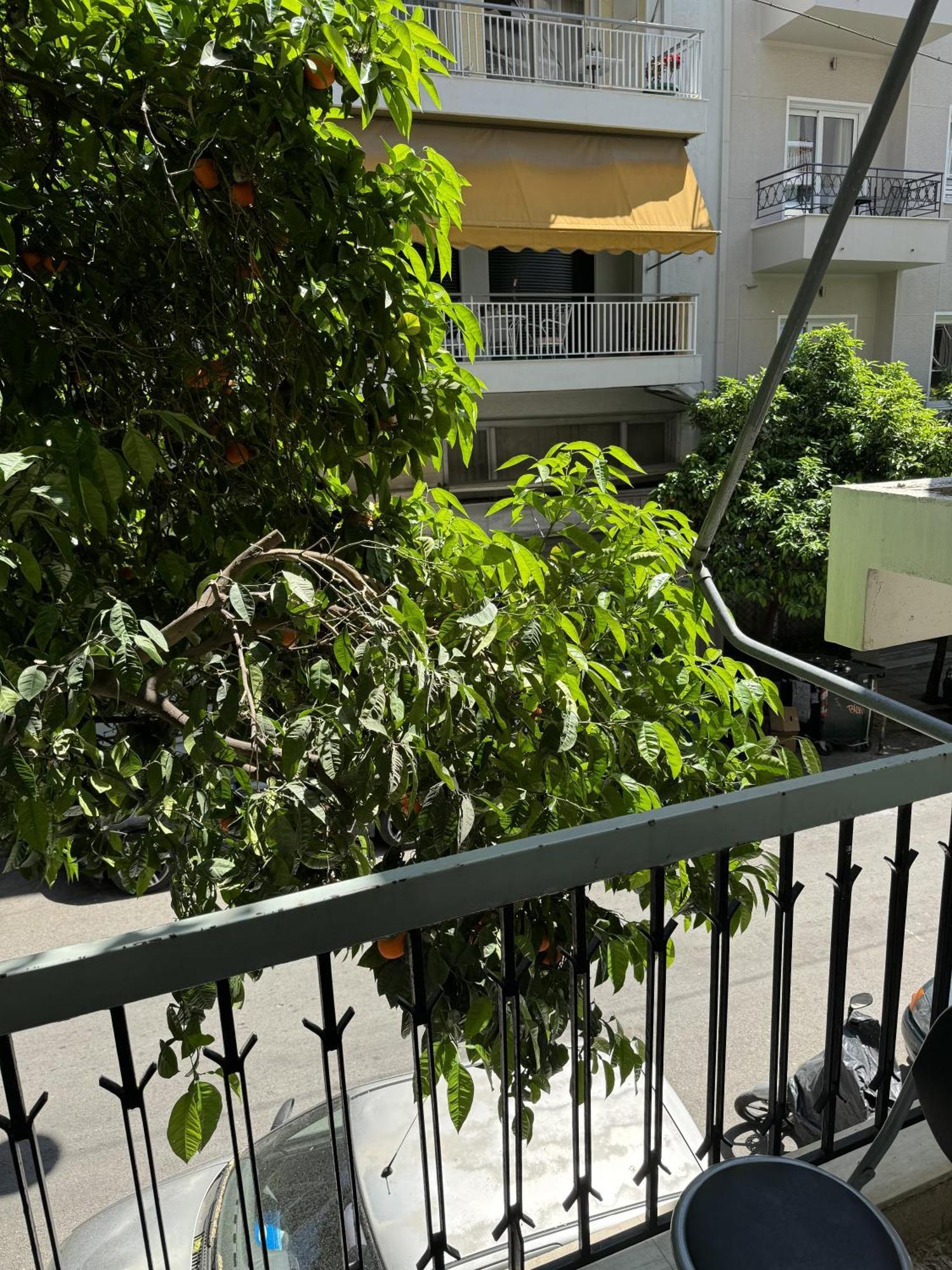 Cozy Apt Next To Acropolis Atena Exterior foto
